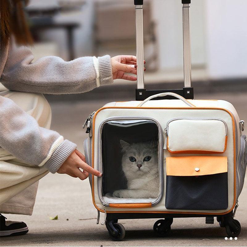 Anti-stress Pet Going Out Trolley Backpack